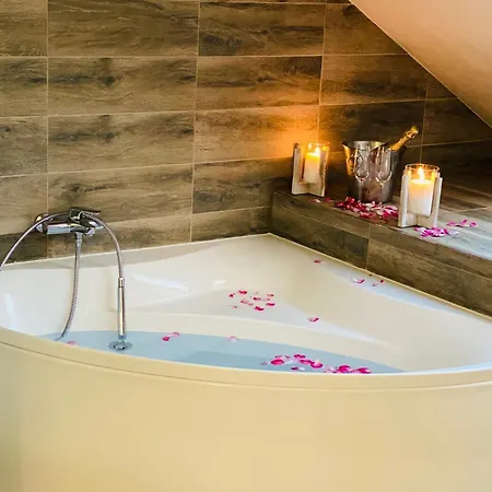 & Wellness Hejtmanka ホテル Mladá Boleslav