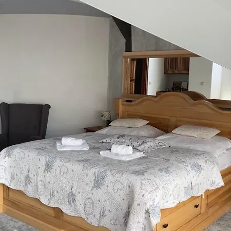 & Wellness Hejtmanka ホテル 5*