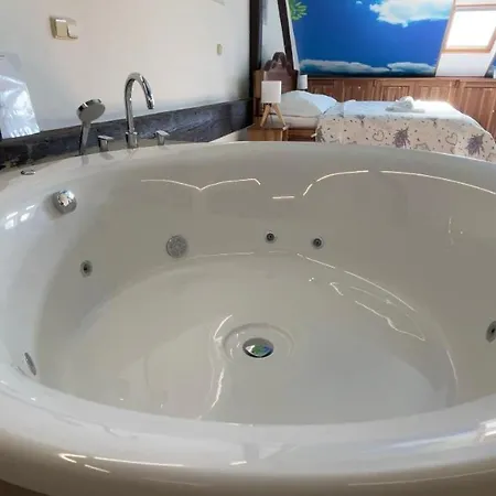 & Wellness Hejtmanka Hotell