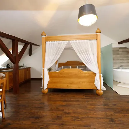 & Wellness Hejtmanka ホテル Mladá Boleslav
