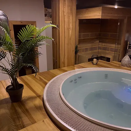 & Wellness Hejtmanka ホテル Mladá Boleslav