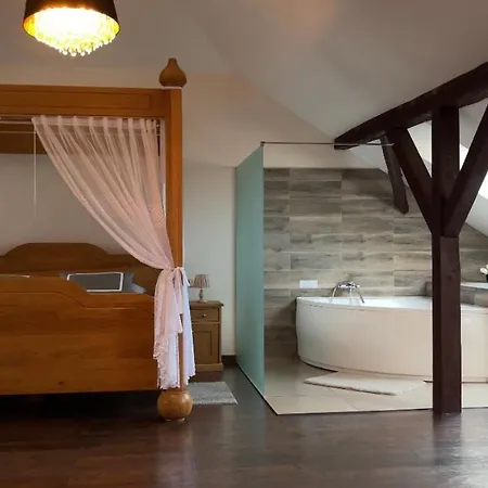 & Wellness Hejtmanka ホテル 5*